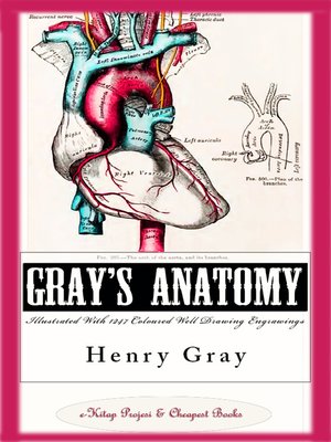 cover image of Gray's Anatomy (Illustrated With 1247 Coloured Well Drawing Engrawings)